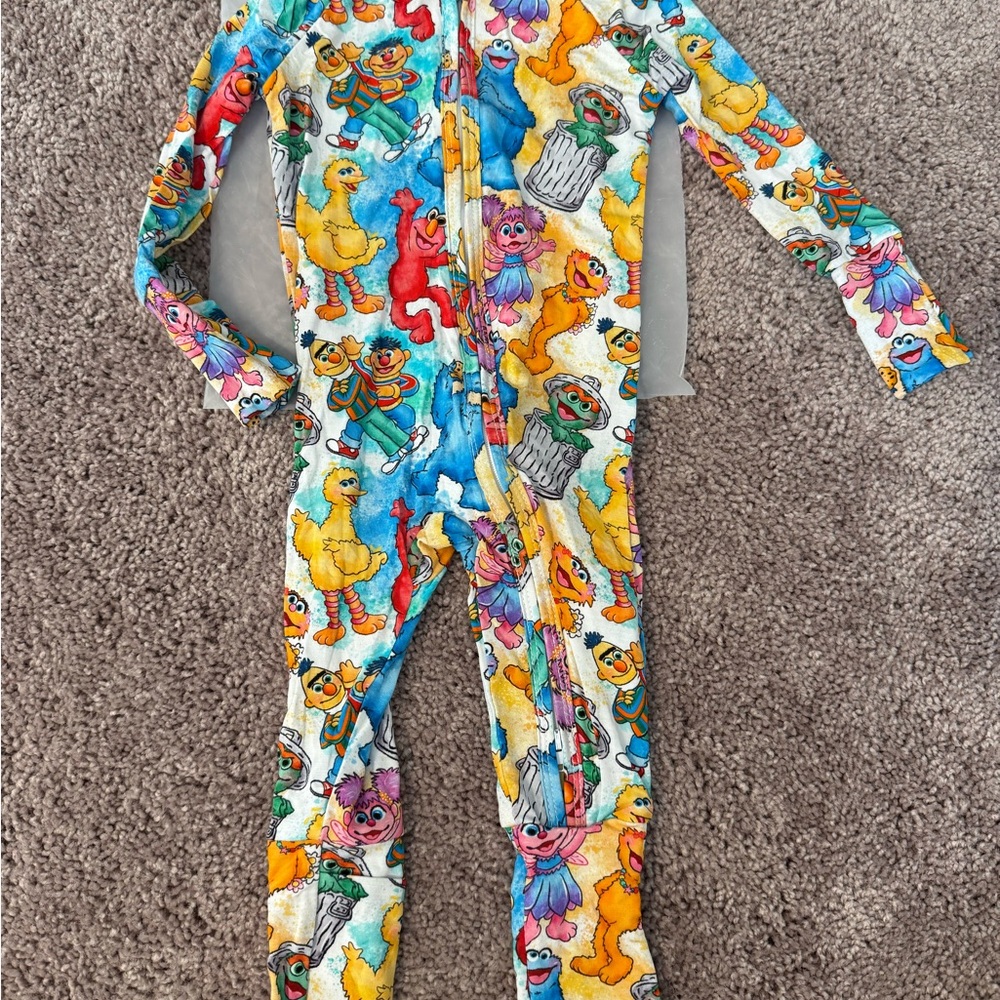 Sesame Street Bamboo Zippy